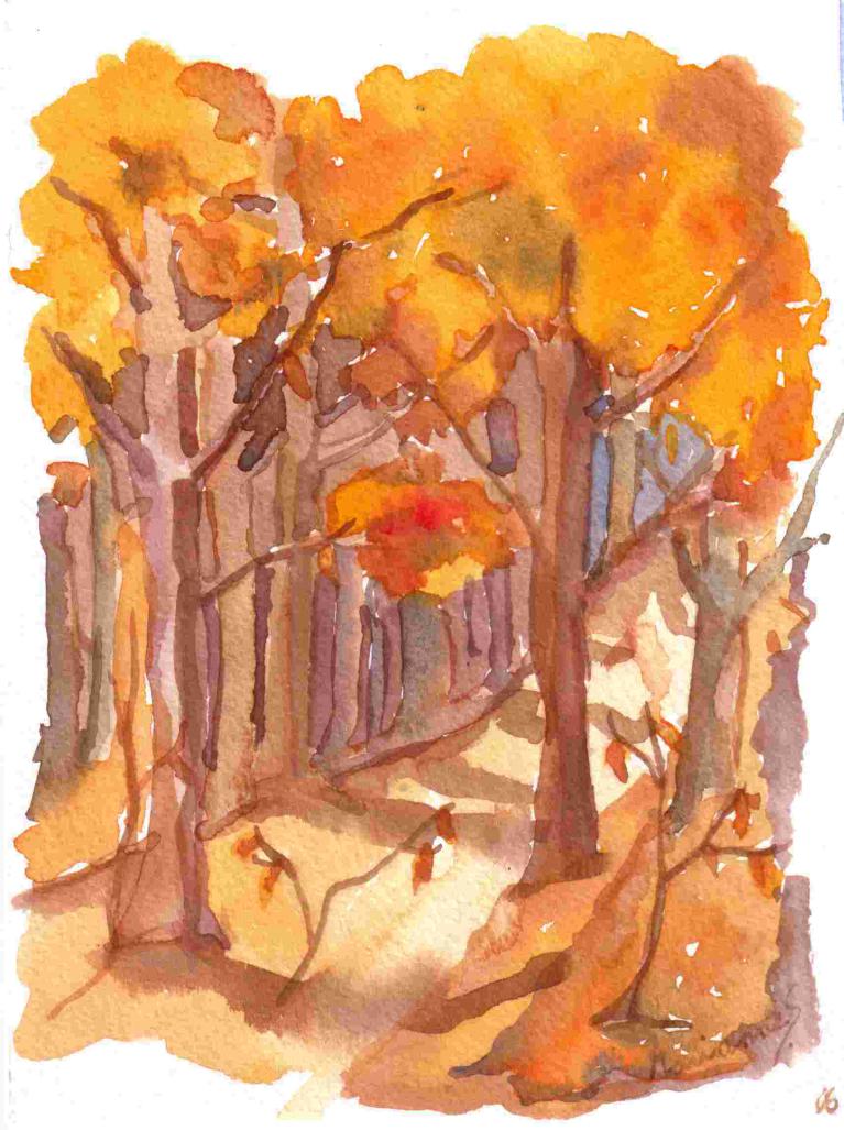 Forêt automnale
