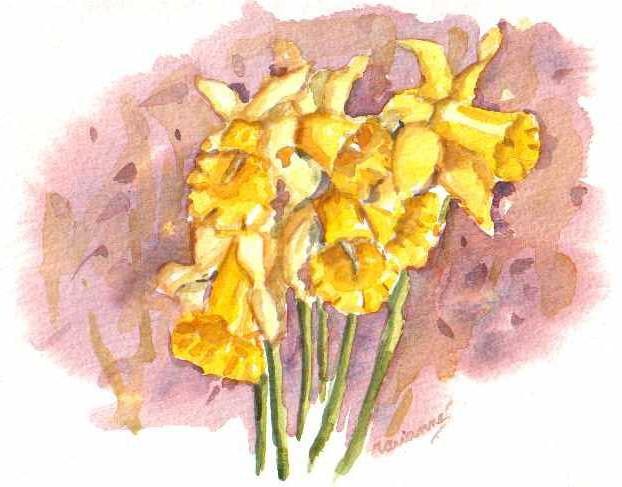 Jonquilles