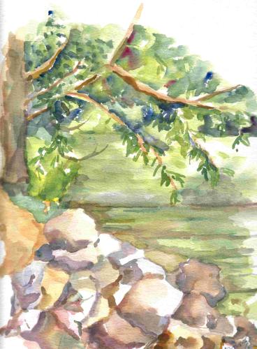 L'arbre au bord de la Thielle
