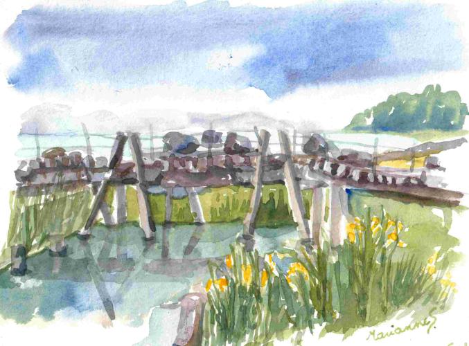 Le Latenium au bord du lac